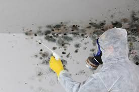 Forensic Mold Investigation in Seabrook Island, SC